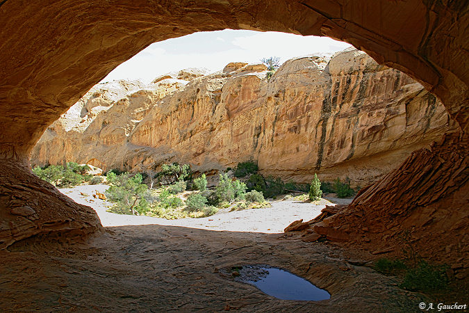 Skylight Arch